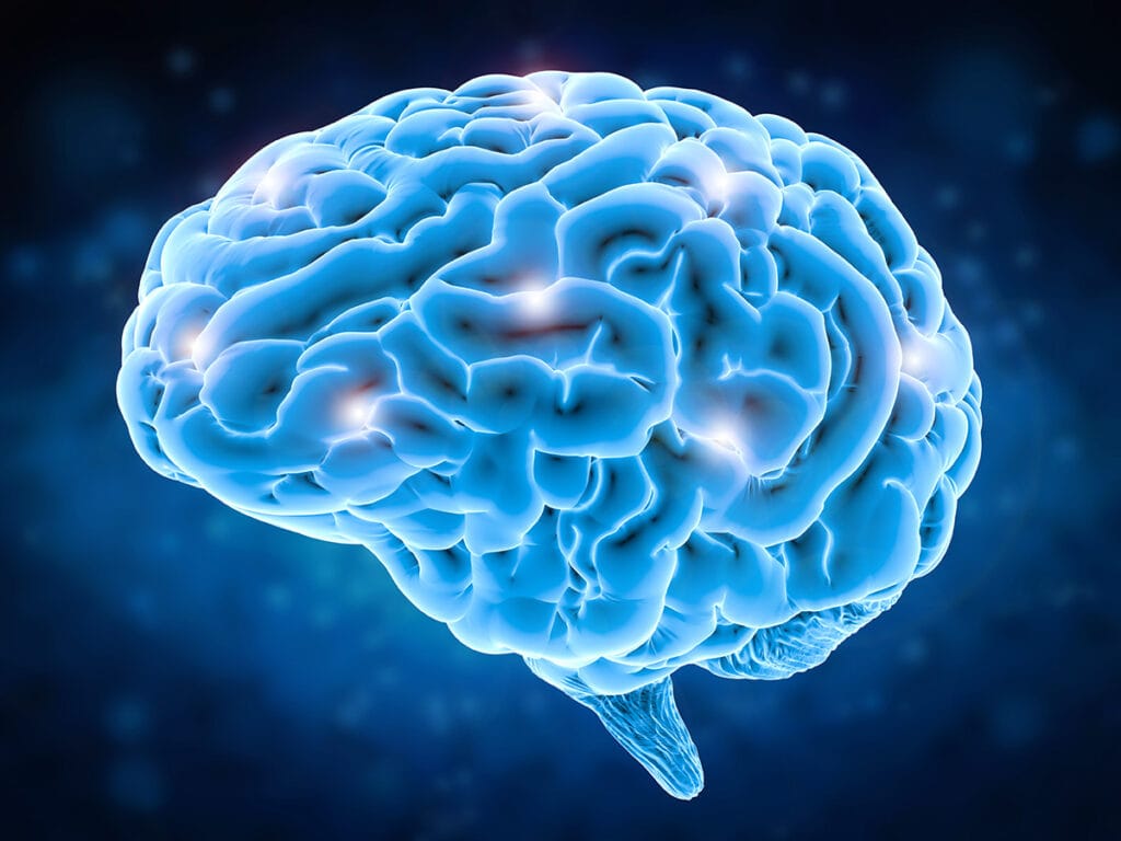 brain web 511446631 Shutterstock Phonlamai Photo