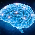 brain web 511446631 Shutterstock Phonlamai Photo