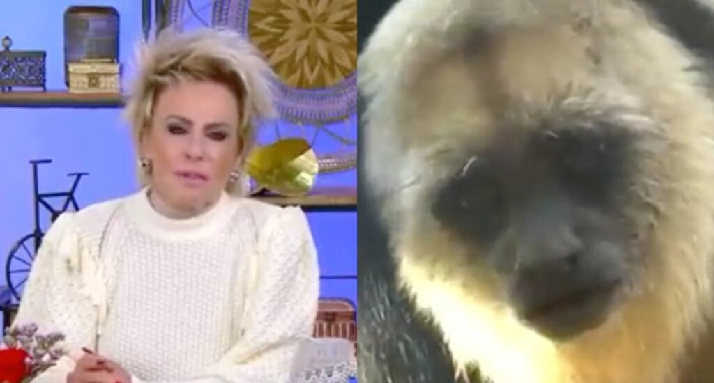 ana maria e giovanna racismo 1