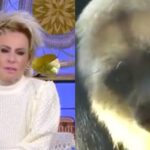 ana maria e giovanna racismo 1