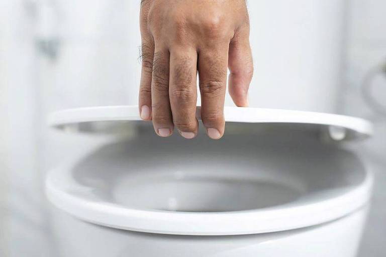 Assentos de privadas transmitem doenças? Especialistas explicam quais são os riscos reais - Imagem do artigo original