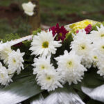 rss featured 9366 1755861716