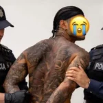 1bfbdf