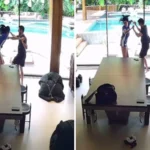 ana castela odorico reis momento loucura video