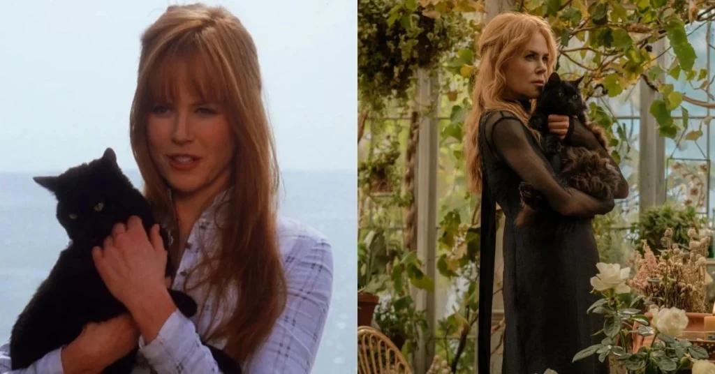 nicole kidman antes depois 1 1024x536 1