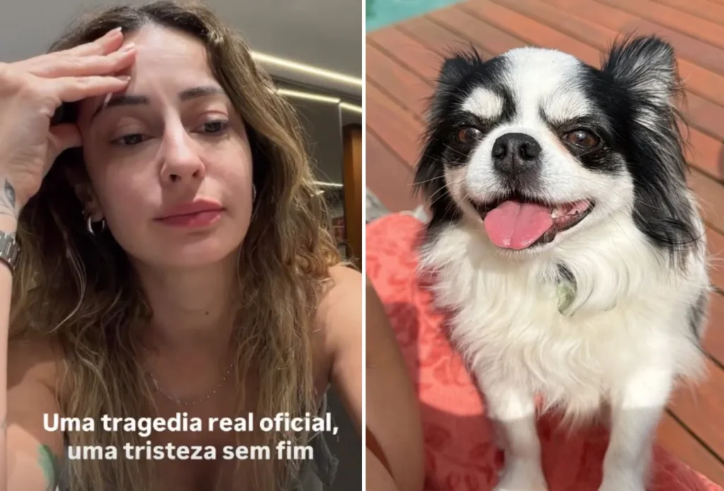 stories instagram 2026 04 23t222752.379