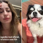 stories instagram 2026 04 23t222752.379
