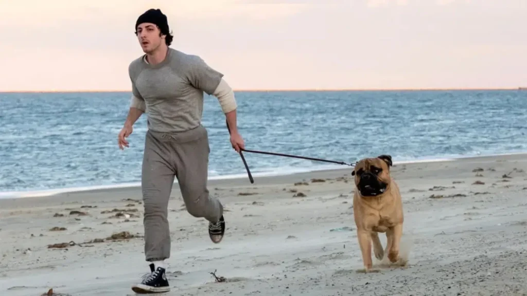 filme revela a luta de stallone antes de rocky chegar s tela 20260618