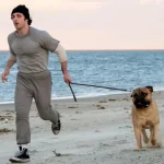 filme revela a luta de stallone antes de rocky chegar s tela 20260618