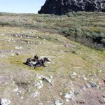 lix es de 4 500 anos revelam micr bios de humanos na groenl 20260618