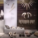 dna revela que xam da idade do bronze era na verdade uma mul 20260717