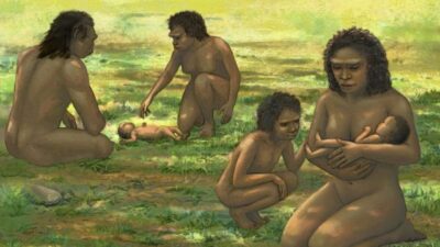 Fósseis indicam cuidado de bebês por hominídeos há mais de 1 milhão de anos